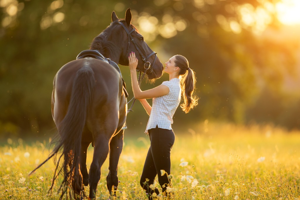 how-equine-therapy-works