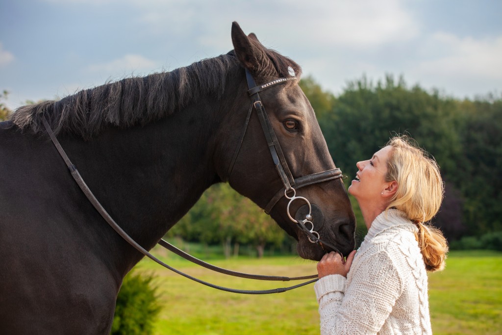 on-the-trail-to-recovery-with-equine