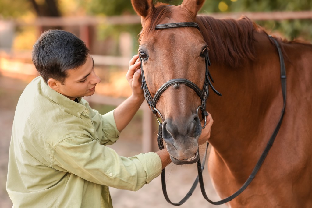 why-equine-therapy